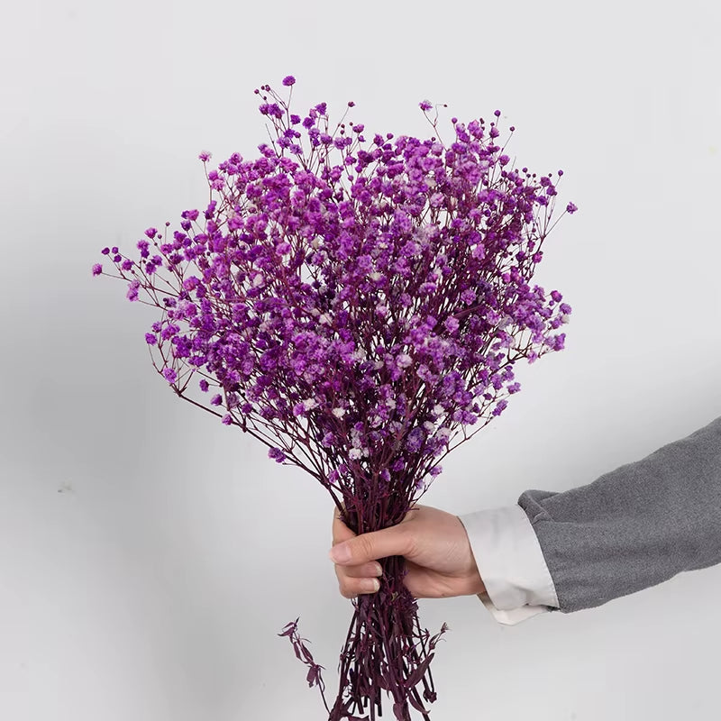 Dried Flowers Baby'S Breath Bouquet White Dry Flowers,Natural Gypsophila Branches for Home Wedding,Table Decor,Diy Wreath Floral