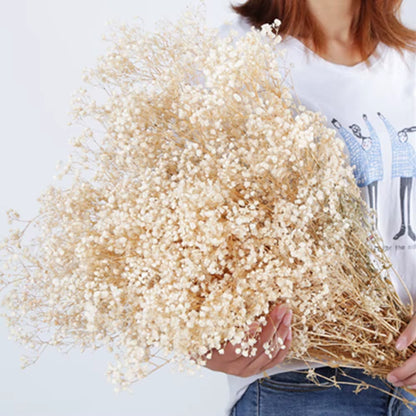 Dried Flowers Baby'S Breath Bouquet White Dry Flowers,Natural Gypsophila Branches for Home Wedding,Table Decor,Diy Wreath Floral