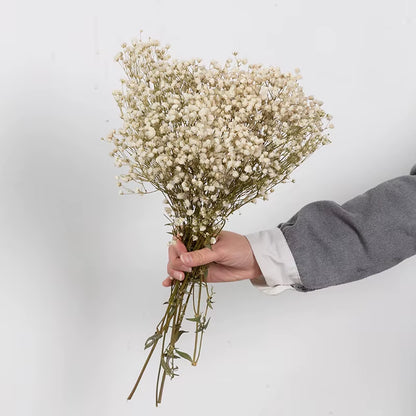 Dried Flowers Baby'S Breath Bouquet White Dry Flowers,Natural Gypsophila Branches for Home Wedding,Table Decor,Diy Wreath Floral