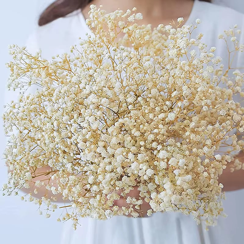 Dried Flowers Baby'S Breath Bouquet White Dry Flowers,Natural Gypsophila Branches for Home Wedding,Table Decor,Diy Wreath Floral