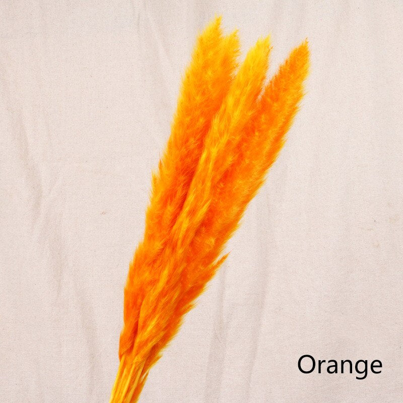 Reed Dried Flower Home Decoration