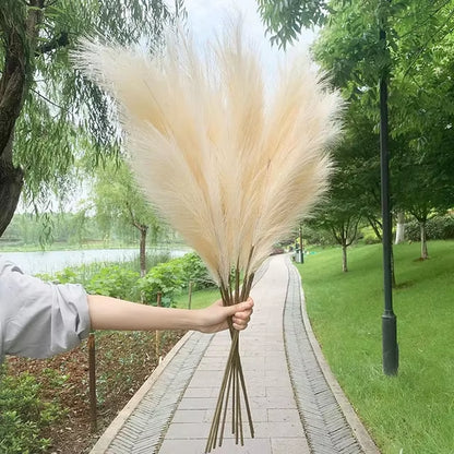 Big Silk Pampas Grass Flowers for Home Decor and Wedding Decoration