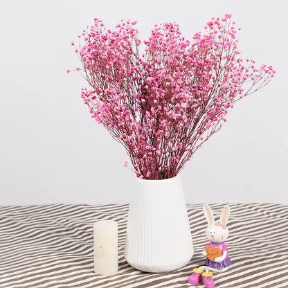 Dried Flowers Baby'S Breath Bouquet White Dry Flowers,Natural Gypsophila Branches for Home Wedding,Table Decor,Diy Wreath Floral